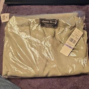 Alfred Dunner Celadon Proportioned Short Pants Women's Size 18P